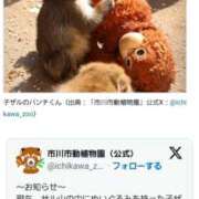 ヒメ日記 2026/02/27 19:20 投稿 ちなつ 台北(たいぺい）