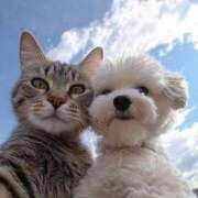 ヒメ日記 2026/02/28 14:41 投稿 ちなつ 台北(たいぺい）