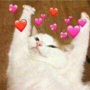 ヒメ日記 2026/03/01 11:00 投稿 ちなつ 台北(たいぺい）