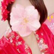 ヒメ日記 2026/03/03 11:40 投稿 ちなつ 台北(たいぺい）