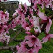 ヒメ日記 2026/03/03 15:30 投稿 ちなつ 台北(たいぺい）