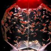 ヒメ日記 2026/03/03 19:50 投稿 ちなつ 台北(たいぺい）