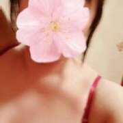 ヒメ日記 2026/03/03 22:50 投稿 ちなつ 台北(たいぺい）