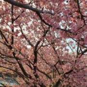 ヒメ日記 2026/03/06 15:10 投稿 ちなつ 台北(たいぺい）