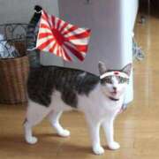 ヒメ日記 2026/03/07 11:50 投稿 ちなつ 台北(たいぺい）