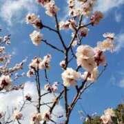 ヒメ日記 2026/03/07 12:15 投稿 ちなつ 台北(たいぺい）