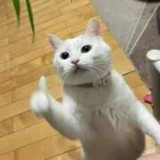 ヒメ日記 2026/03/08 14:10 投稿 ちなつ 台北(たいぺい）