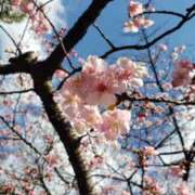 ヒメ日記 2026/03/08 14:20 投稿 ちなつ 台北(たいぺい）