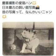 ヒメ日記 2026/03/10 19:50 投稿 ちなつ 台北(たいぺい）