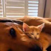 ヒメ日記 2026/03/11 15:10 投稿 ちなつ 台北(たいぺい）