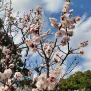 ヒメ日記 2026/03/11 15:40 投稿 ちなつ 台北(たいぺい）