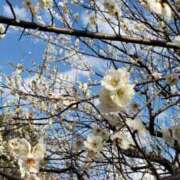 ヒメ日記 2026/03/13 17:10 投稿 ちなつ 台北(たいぺい）