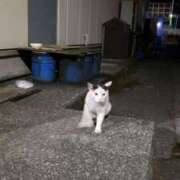 ヒメ日記 2026/03/13 19:10 投稿 ちなつ 台北(たいぺい）