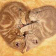 ヒメ日記 2026/03/14 16:00 投稿 ちなつ 台北(たいぺい）