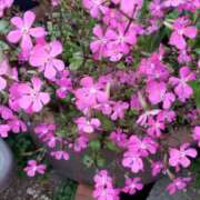 ヒメ日記 2026/03/14 16:10 投稿 ちなつ 台北(たいぺい）