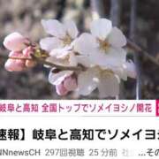 ヒメ日記 2026/03/16 12:10 投稿 ちなつ 台北(たいぺい）