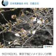 ヒメ日記 2026/03/19 19:20 投稿 ちなつ 台北(たいぺい）