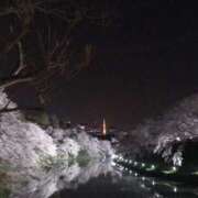ヒメ日記 2026/03/19 19:40 投稿 ちなつ 台北(たいぺい）