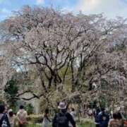 ヒメ日記 2026/03/24 15:40 投稿 ちなつ 台北(たいぺい）