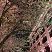 ヒメ日記 2026/04/02 19:50 投稿 ちなつ 台北(たいぺい）