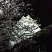 ちなつ 【ちなつ夜桜編】😄🌸✨ 台北(たいぺい）