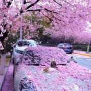 ヒメ日記 2026/04/08 15:10 投稿 ちなつ 台北(たいぺい）