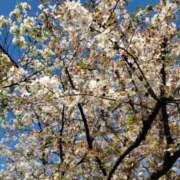 ヒメ日記 2026/04/09 12:31 投稿 ちなつ 台北(たいぺい）