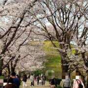 ヒメ日記 2026/04/12 16:00 投稿 ちなつ 台北(たいぺい）