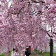 ヒメ日記 2026/04/13 15:31 投稿 ちなつ 台北(たいぺい）
