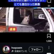 ヒメ日記 2026/04/13 18:20 投稿 ちなつ 台北(たいぺい）