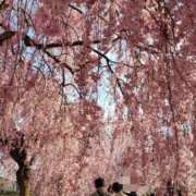 ヒメ日記 2026/04/15 12:40 投稿 ちなつ 台北(たいぺい）