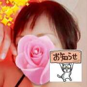 ヒメ日記 2026/05/13 16:00 投稿 ちなつ 台北(たいぺい）