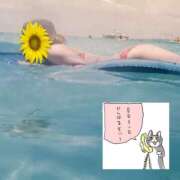 ヒメ日記 2026/05/18 12:10 投稿 ちなつ 台北(たいぺい）