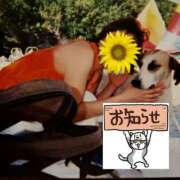 ヒメ日記 2026/06/20 14:55 投稿 ちなつ 台北(たいぺい）