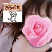 ヒメ日記 2026/07/06 15:30 投稿 ちなつ 台北(たいぺい）