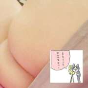 ヒメ日記 2026/07/08 12:10 投稿 ちなつ 台北(たいぺい）
