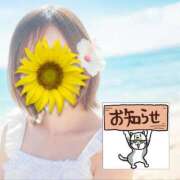 ヒメ日記 2026/07/27 17:10 投稿 ちなつ 台北(たいぺい）