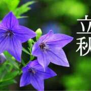 ヒメ日記 2026/08/07 08:40 投稿 ちなつ 台北(たいぺい）