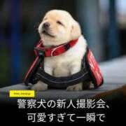 ヒメ日記 2026/08/13 19:30 投稿 ちなつ 台北(たいぺい）