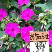 ヒメ日記 2026/09/18 12:40 投稿 ちなつ 台北(たいぺい）