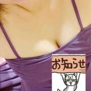 ヒメ日記 2026/09/29 15:30 投稿 ちなつ 台北(たいぺい）