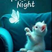 ヒメ日記 2026/01/21 22:30 投稿 ひとみ 台北(たいぺい）