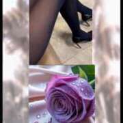 ヒメ日記 2026/01/24 10:30 投稿 ひとみ 台北(たいぺい）