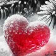 ヒメ日記 2026/01/24 22:20 投稿 ひとみ 台北(たいぺい）