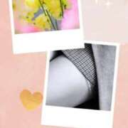 ヒメ日記 2026/02/04 10:00 投稿 ひとみ 台北(たいぺい）