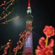 ヒメ日記 2026/02/18 22:41 投稿 ひとみ 台北(たいぺい）