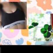 ヒメ日記 2026/02/25 09:50 投稿 ひとみ 台北(たいぺい）