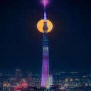 ヒメ日記 2026/02/25 22:40 投稿 ひとみ 台北(たいぺい）