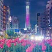 ヒメ日記 2026/03/11 22:20 投稿 ひとみ 台北(たいぺい）