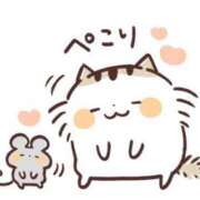 さくら こんにちは😊 台北(たいぺい）